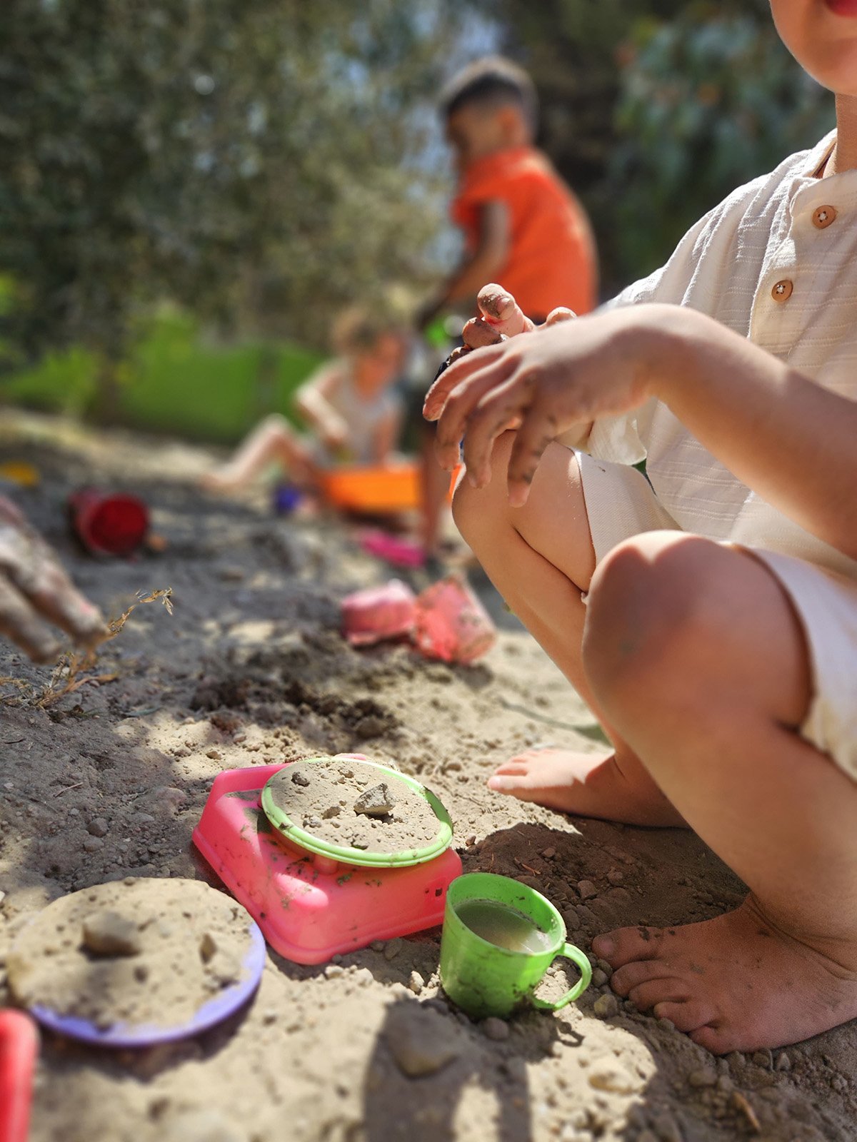 ... Galeri Görselleri